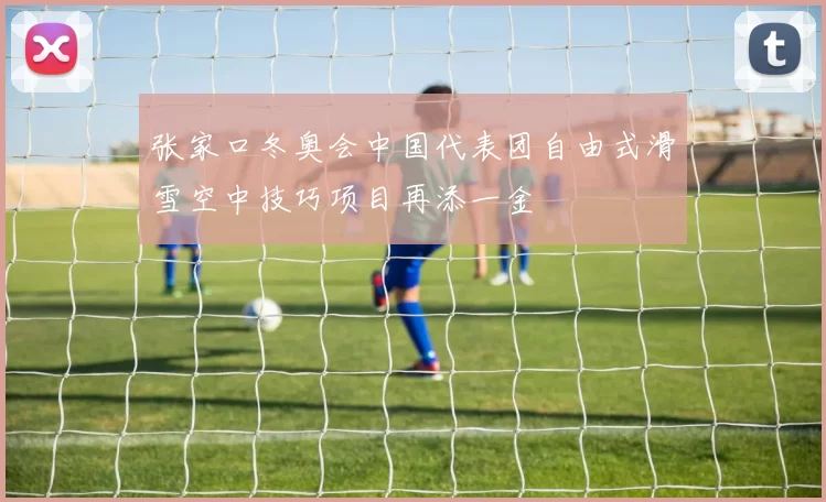 张家口冬奥会中国代表团自由式滑雪空中技巧项目再添一金