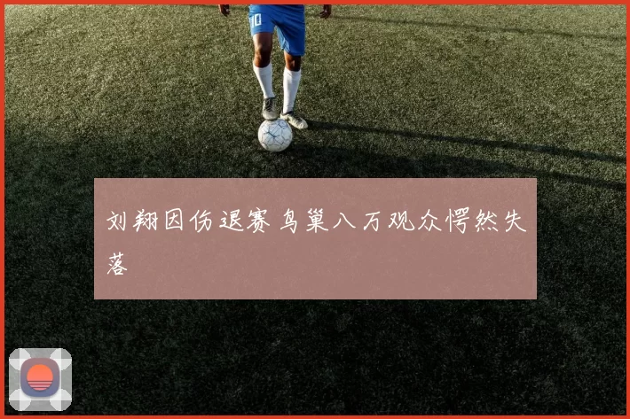 刘翔因伤退赛鸟巢八万观众愕然失落