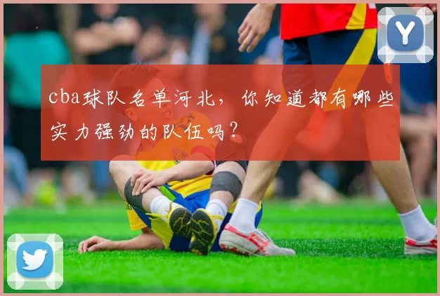 cba球队名单河北，你知道都有哪些实力强劲的队伍吗？